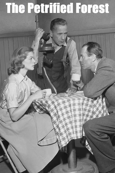 The Petrified Forest